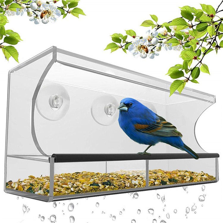 Acrylic Wall Mounted Bird Feeder without Drilling