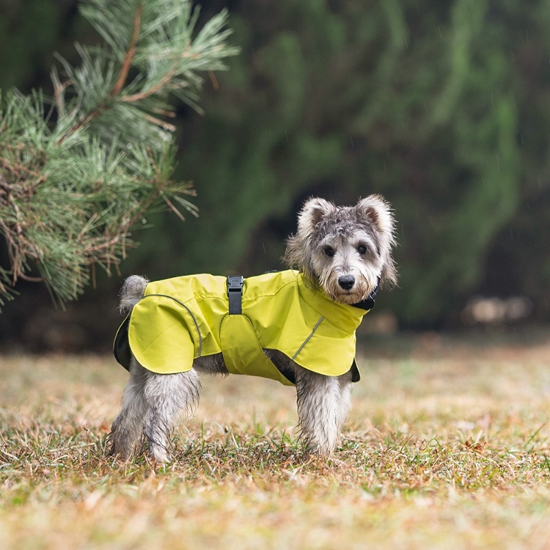 Waterproof Sport Dog Raincoat with Reflective Strip