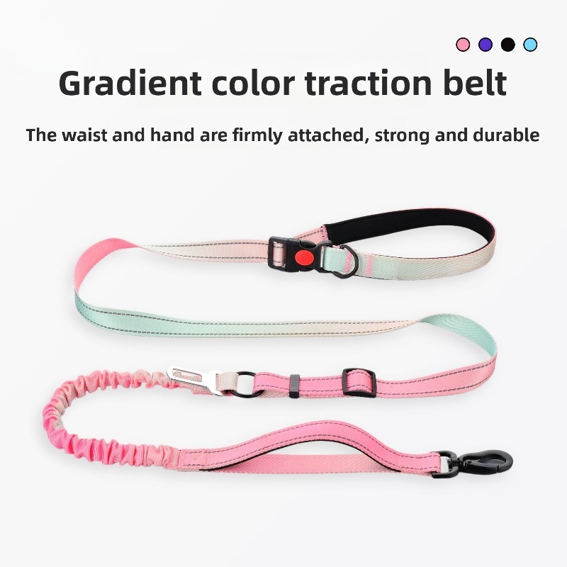 Dog Leash Elastic Gradient Color Stretch Rope