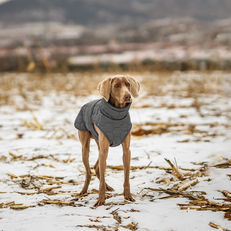 Reflective Velcro Dog Waistcoat for Autumn Winter