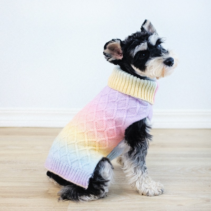 Heart Pattern Pet Jacket with Leash Loop