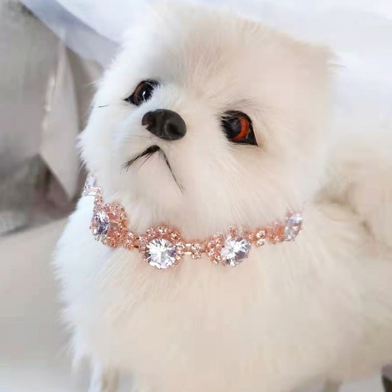 Hollow Copper Rhinestone Collar for Cats and Dogs