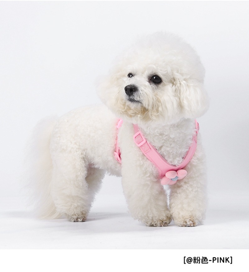 Dog Harness Set Flower Decoration Adjustable