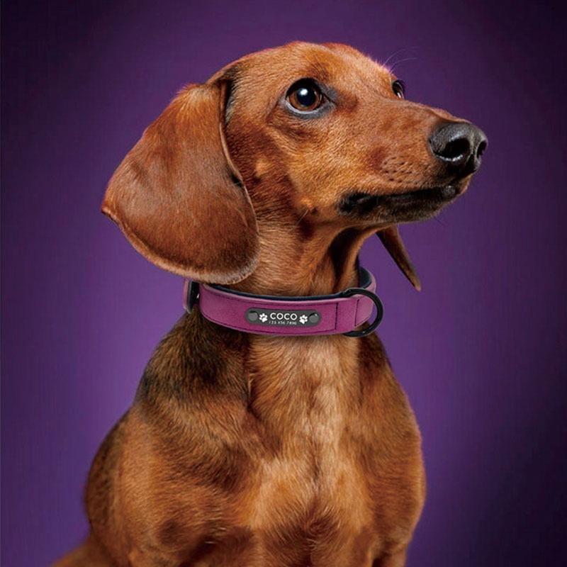 Personalized Solid Leather Dog Collar for Writing Name