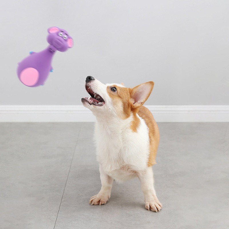 12cm Latex Dog Chew Toy for Teeth Cleaning