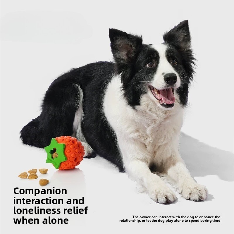 Fruit Shaped Dog Molars Chew Toy