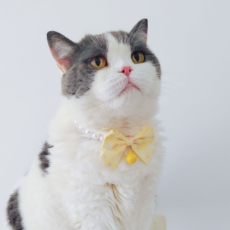 Cat Pearl Bow Necklace Collar Princess Style