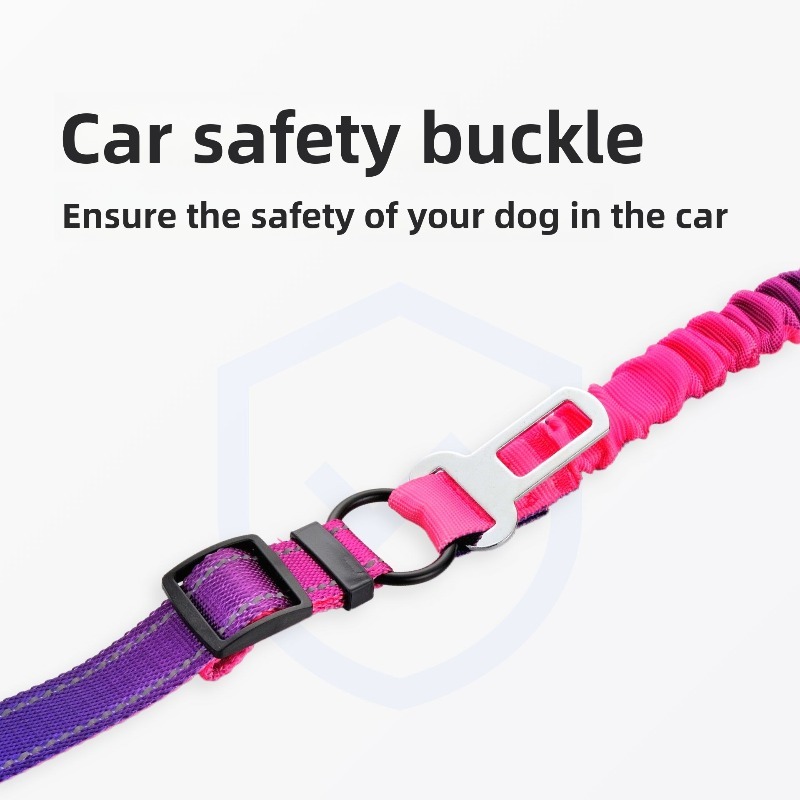 Dog Leash Elastic Gradient Color Stretch Rope