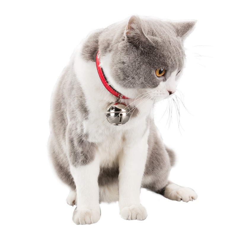 Elegant Breathable Pet Collar with Alloy Paw Print