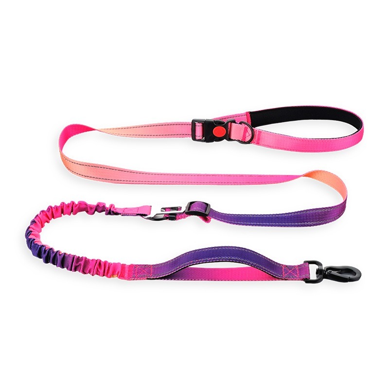 Dog Leash Elastic Gradient Color Stretch Rope