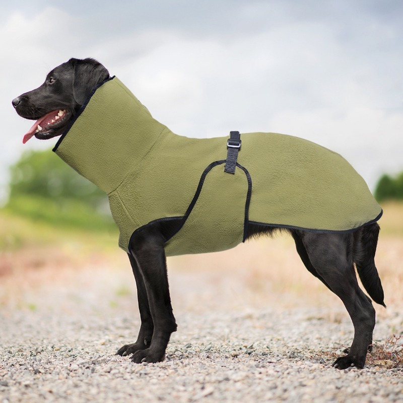 Solid Pattern Dog Sweater with Scarf