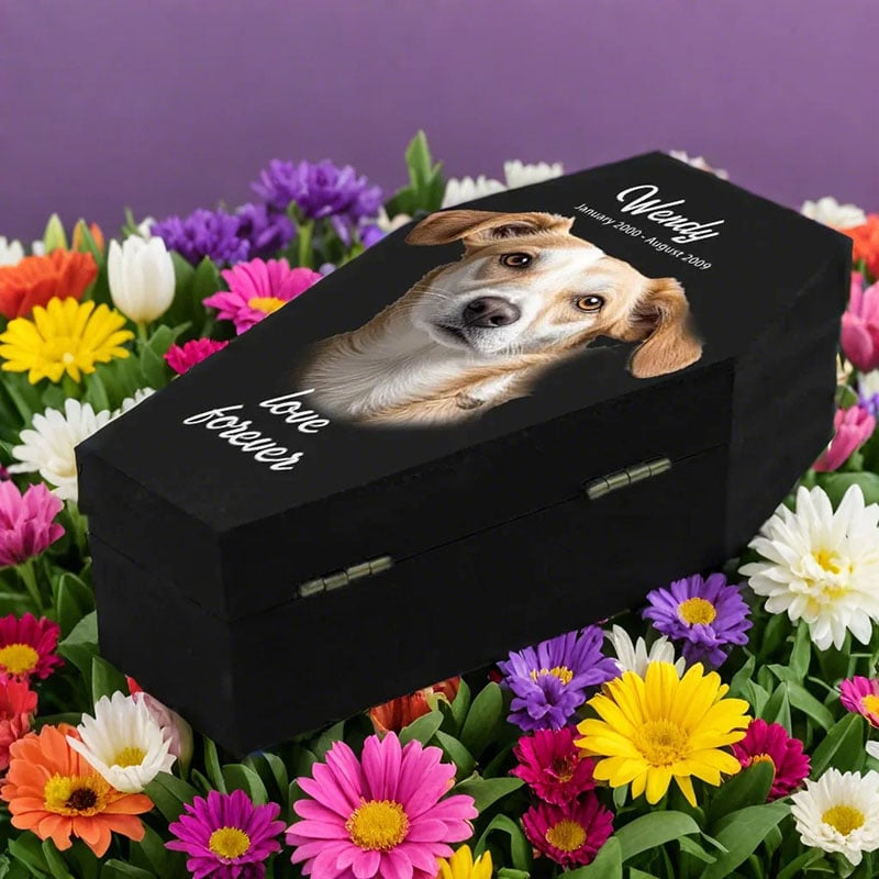 Wooden Coffin Boxes