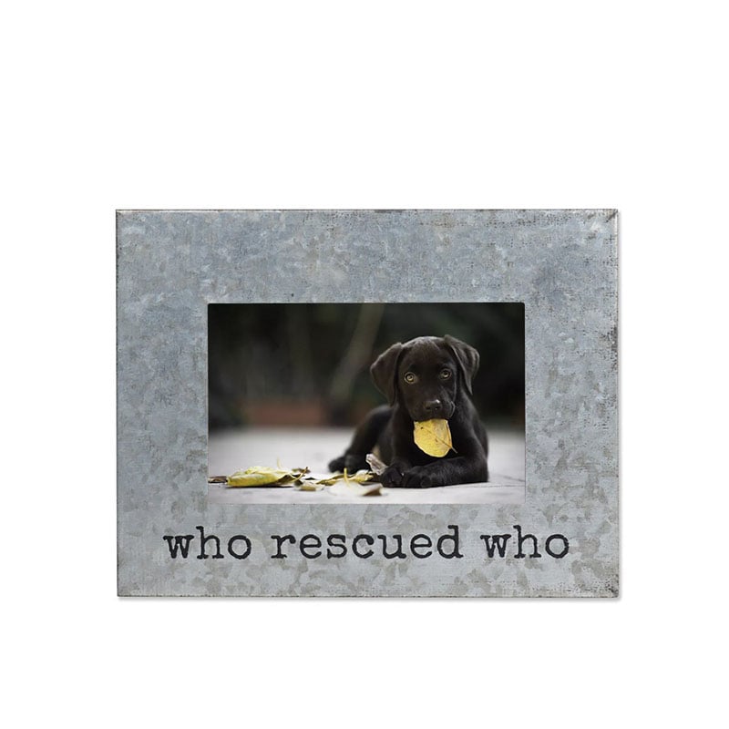 Galvanized Metal Rescued Who Picture Frame