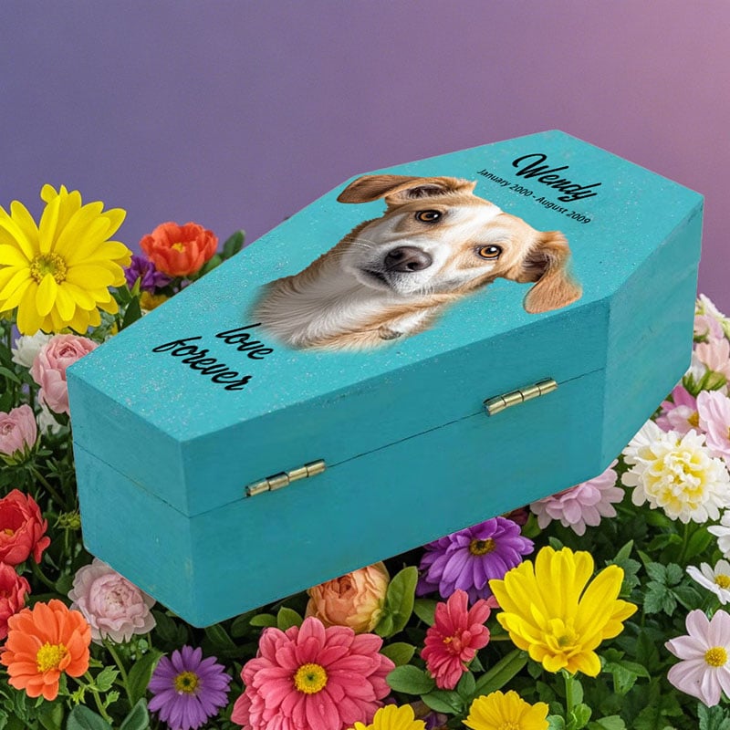 Wooden Coffin Boxes