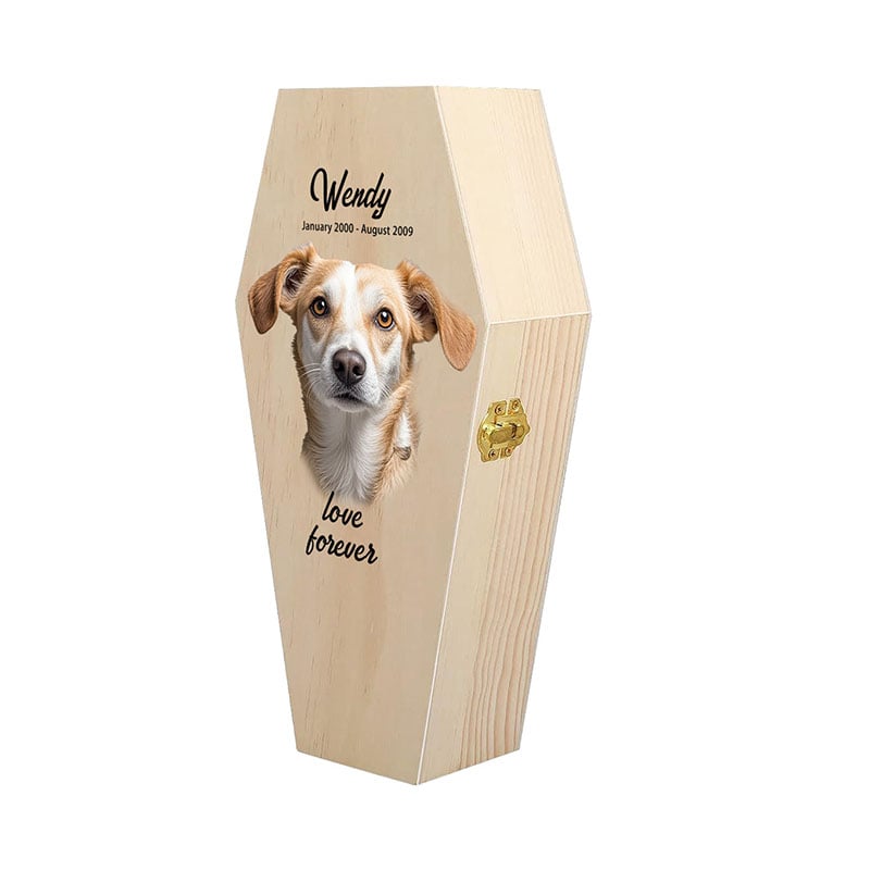 Wooden Coffin Boxes