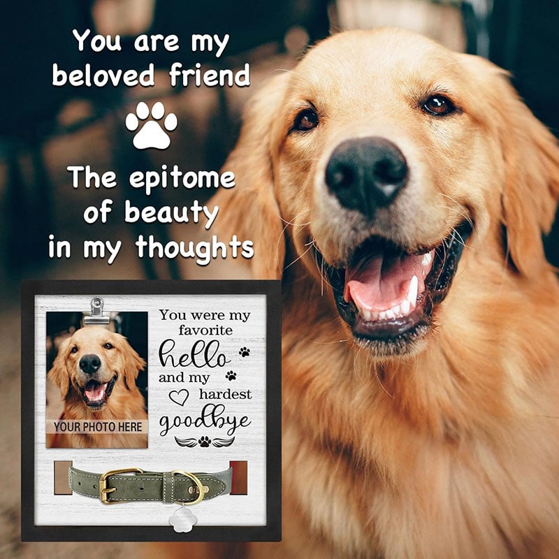 Pet Memorial Frame with Collar Holder