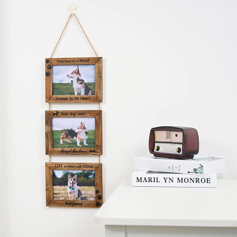 Dogs Wall Picture Frame