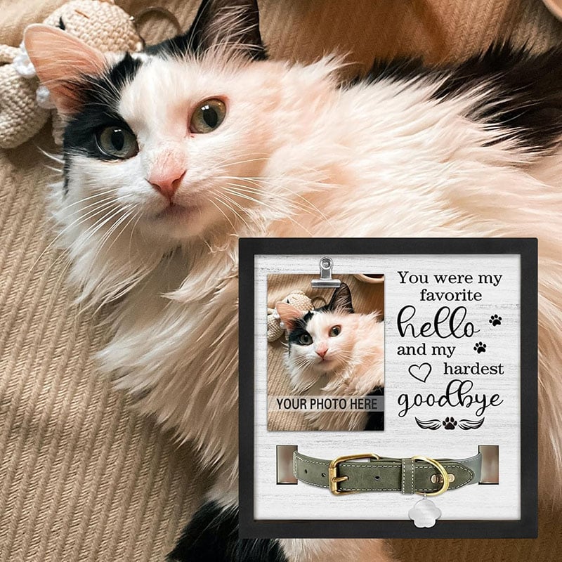 Pet Memorial Frame with Collar Holder