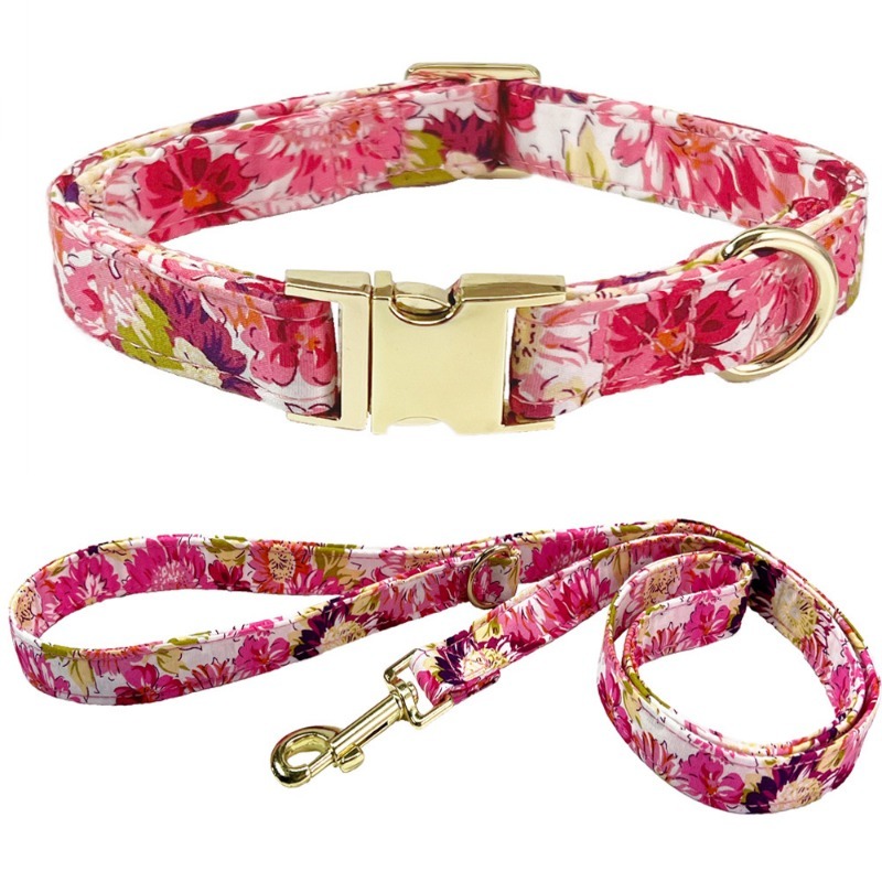 Dog Collar