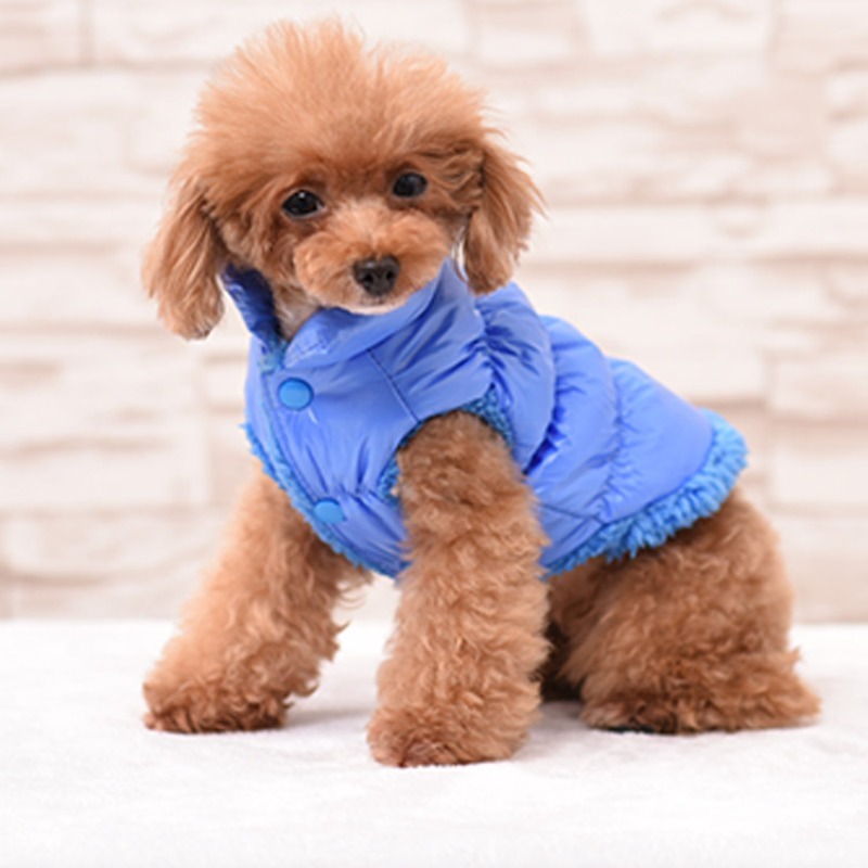 Pet T-shirts