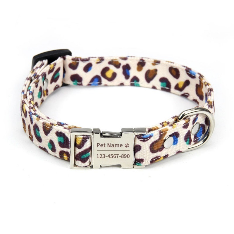 Pet Collars & Leash