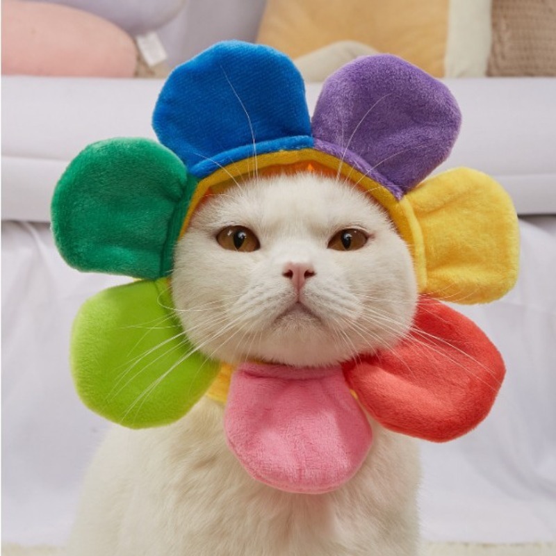 Teddy Bear Sunflower Pet Hat for Halloween