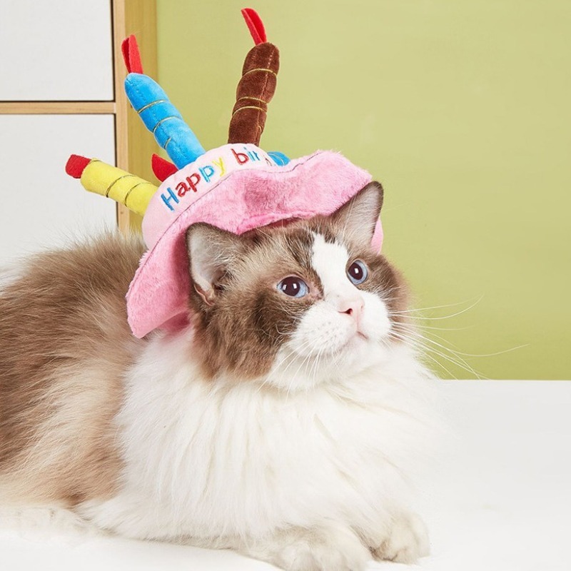 Soft 'Happy Birthday' Pet Party Hat with Candles