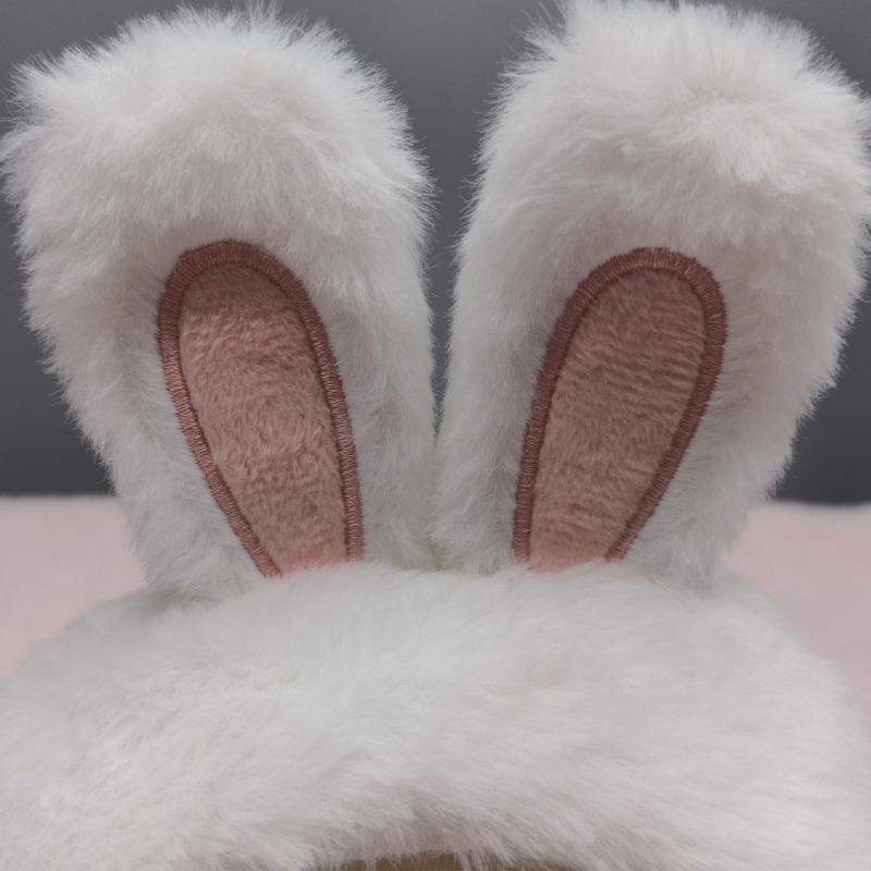 Bunny Ear Hat and Apparel for Pet Photo Shoots