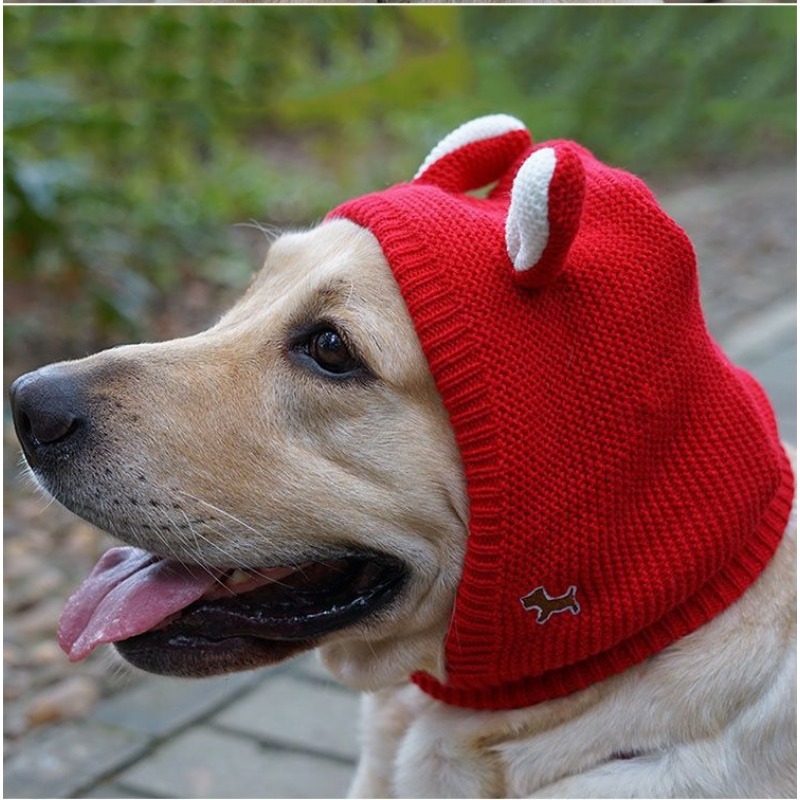 Winter Polyester Dog Hat with Ear Warmers