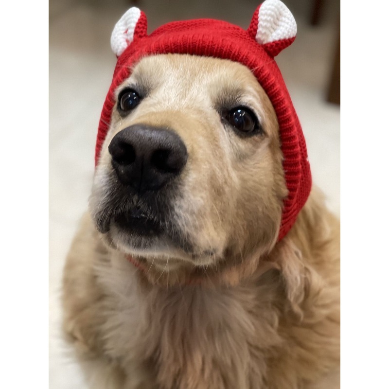 Winter Polyester Dog Hat with Ear Warmers