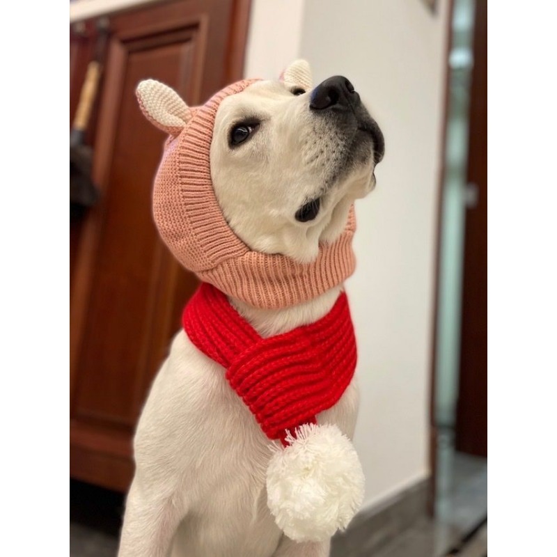 Winter Polyester Dog Hat with Ear Warmers