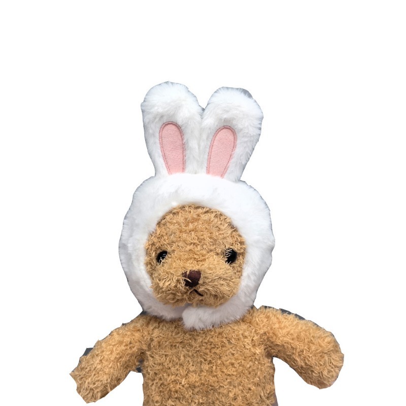 Bunny Ear Hat and Apparel for Pet Photo Shoots