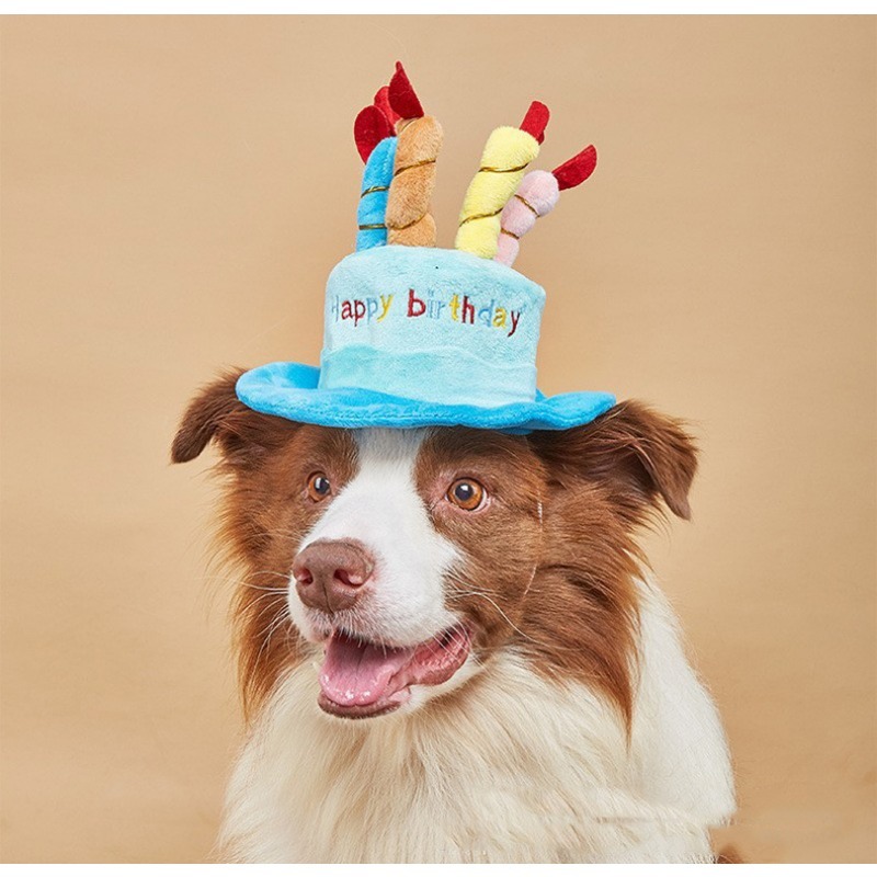 Soft 'Happy Birthday' Pet Party Hat with Candles