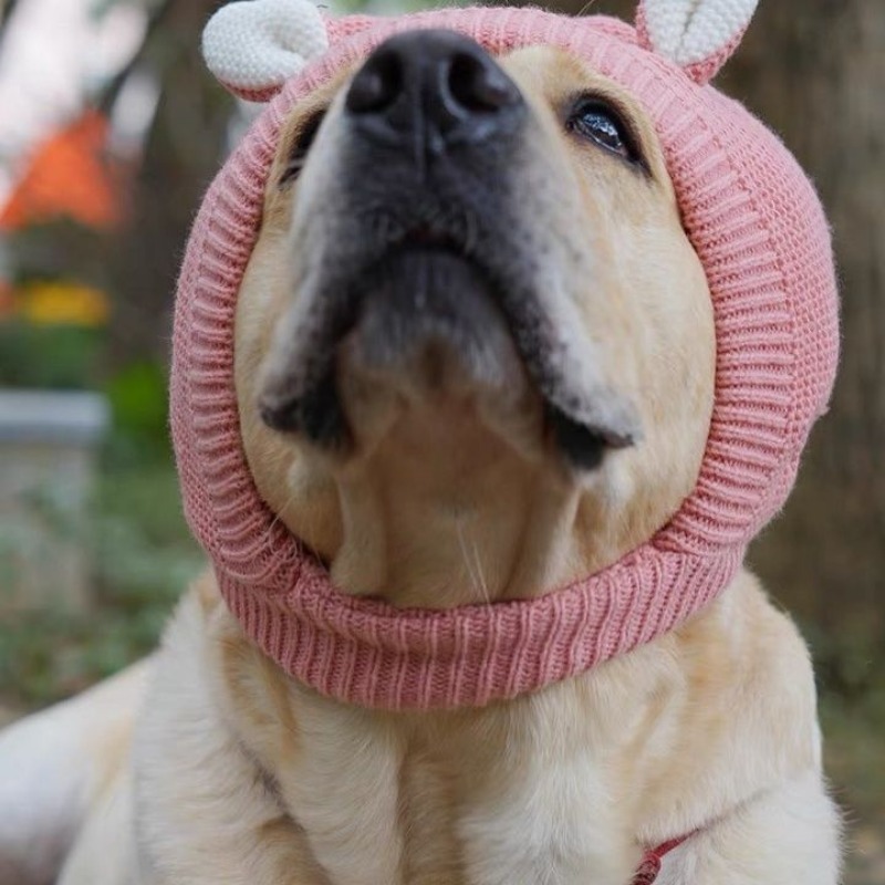 Winter Polyester Dog Hat with Ear Warmers