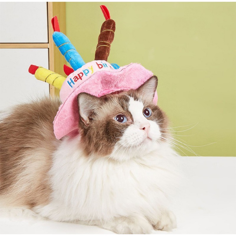 Soft 'Happy Birthday' Pet Party Hat with Candles