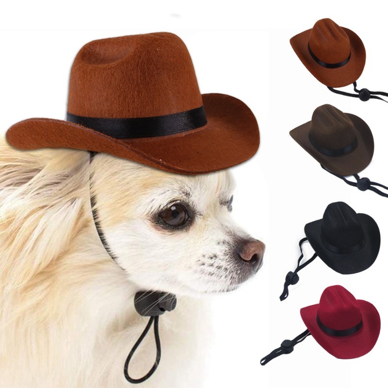 Adjustable Cowboy Mini Hat for Dogs and Cats