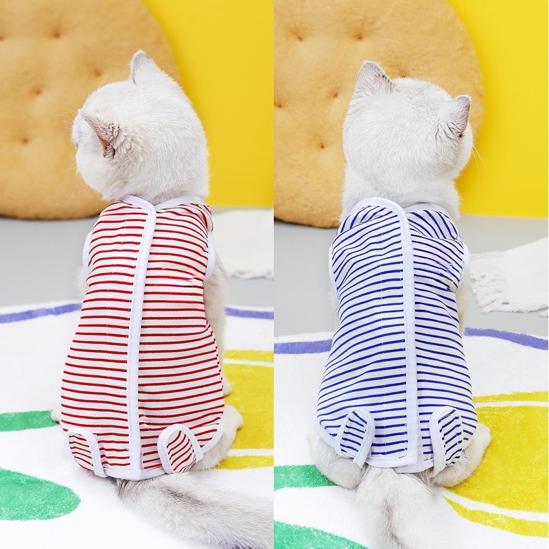 Post-Surgery Recovery Suit for Cats and Dogs