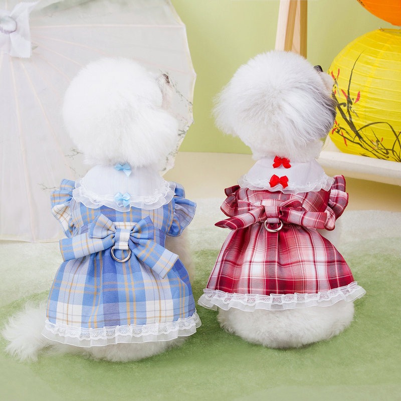 Teddy Bear Style Campus Dress with Leash Hook