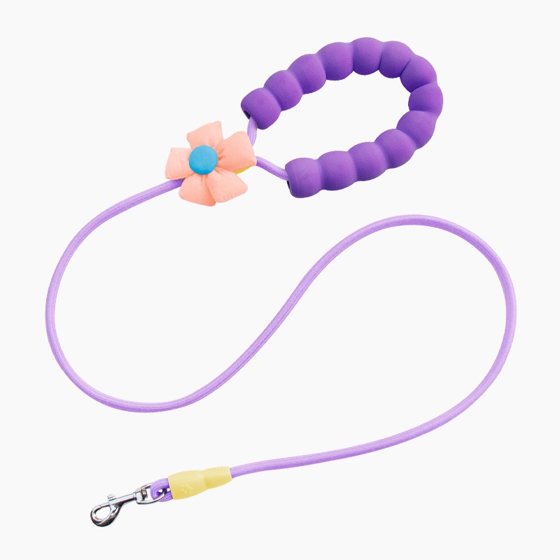 Flower Print Anti-Chew Nylon Dog Leash with Soft Handle