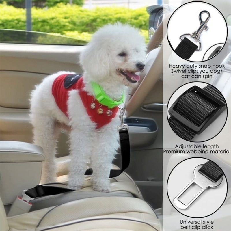 Quick-Release Dog Leash with Alloy Hook and Print