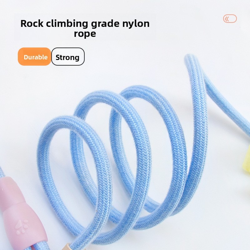 Flower Print Anti-Chew Nylon Dog Leash with Soft Handle