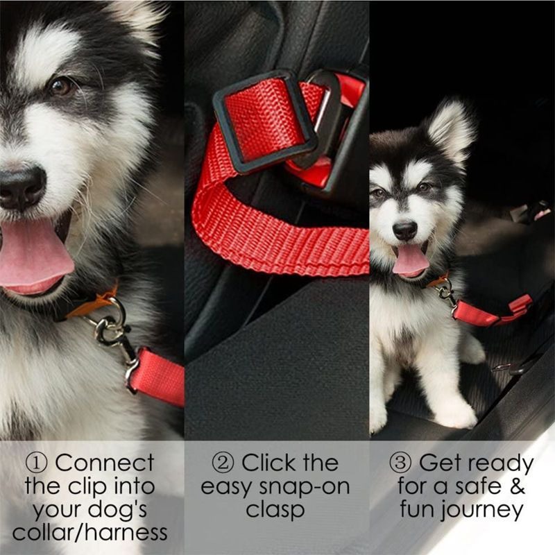 Quick-Release Dog Leash with Alloy Hook and Print
