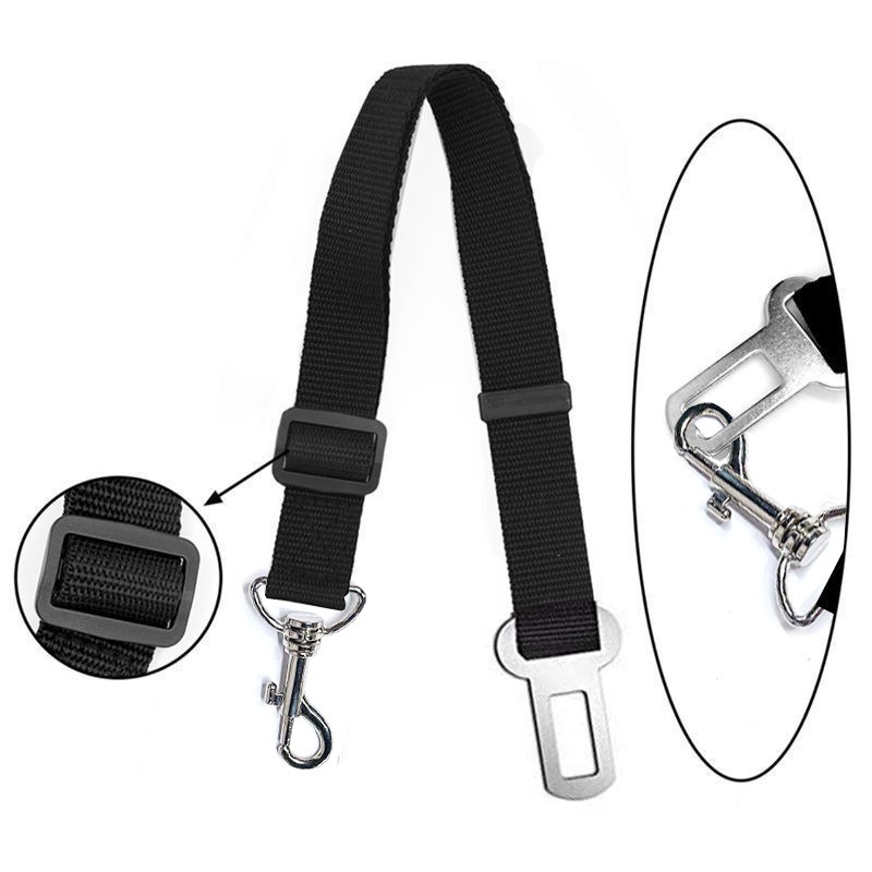 Quick-Release Dog Leash with Alloy Hook and Print