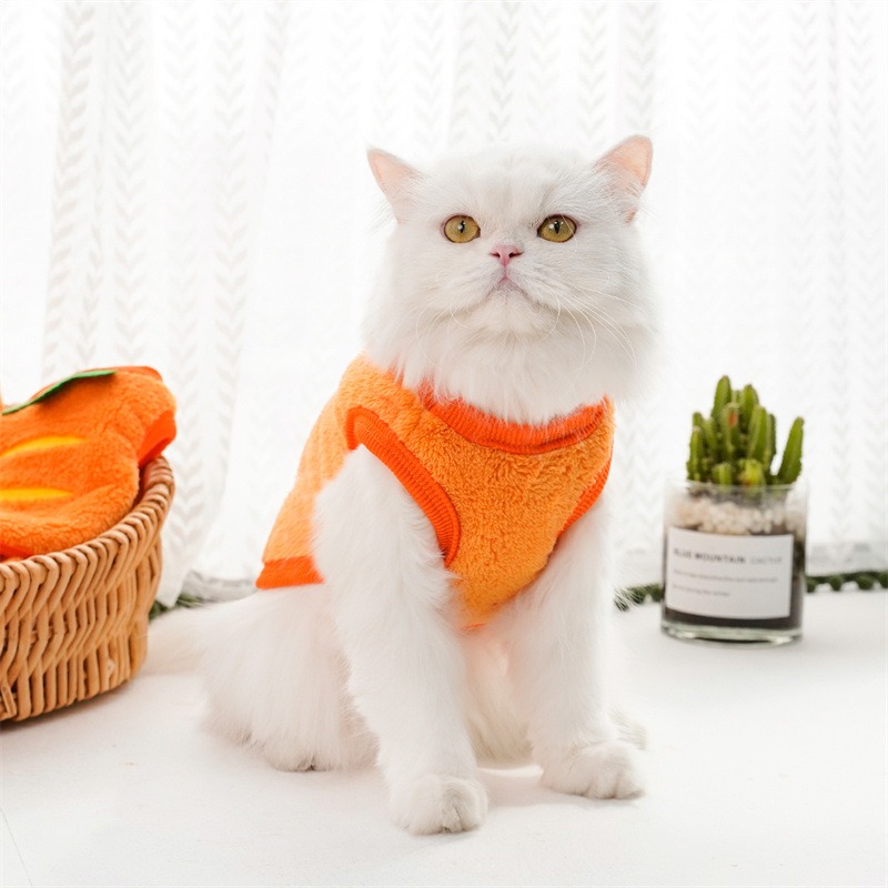 Flannel Carrot Pattern Vest for Cats in Winter