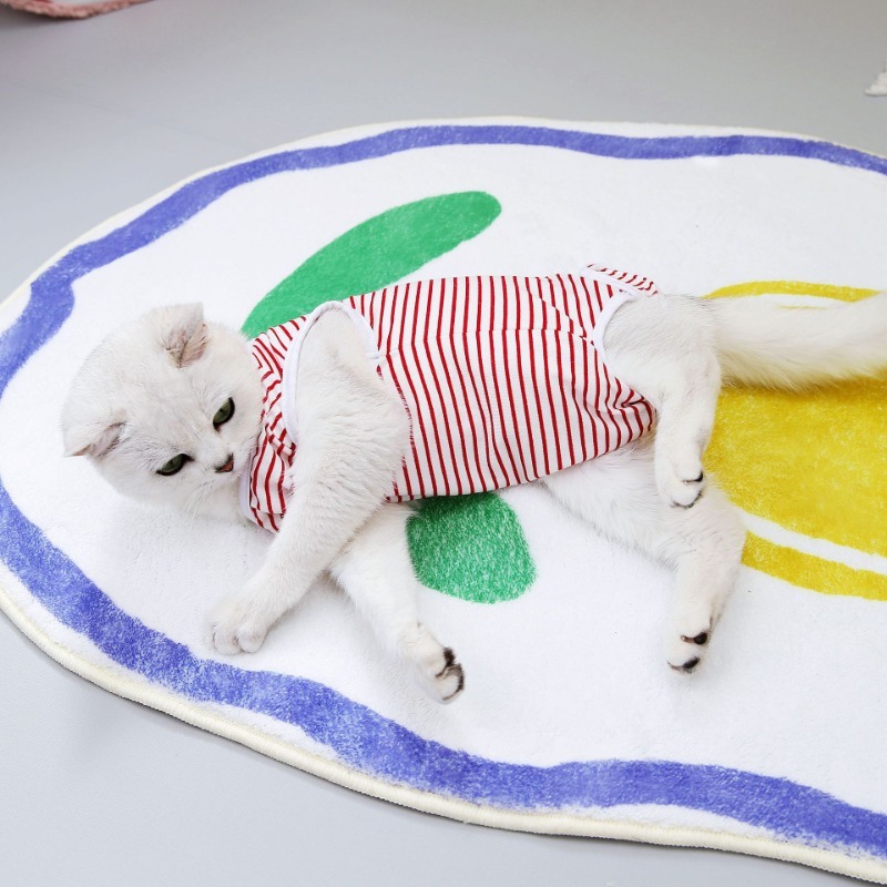 Post-Surgery Recovery Suit for Cats and Dogs