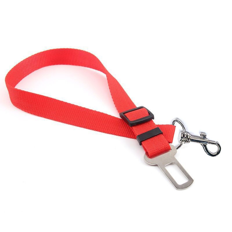 Quick-Release Dog Leash with Alloy Hook and Print