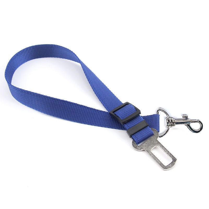 Quick-Release Dog Leash with Alloy Hook and Print