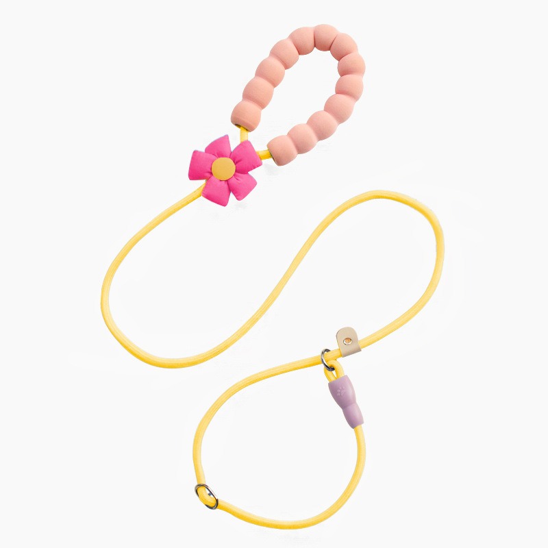 Flower Print Anti-Chew Nylon Dog Leash with Soft Handle