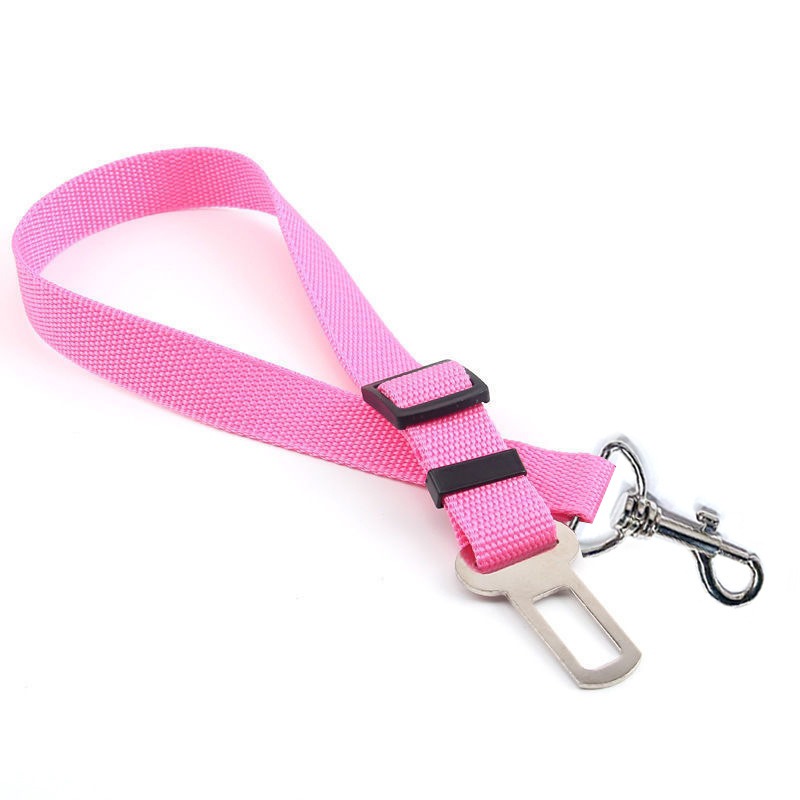 Quick-Release Dog Leash with Alloy Hook and Print