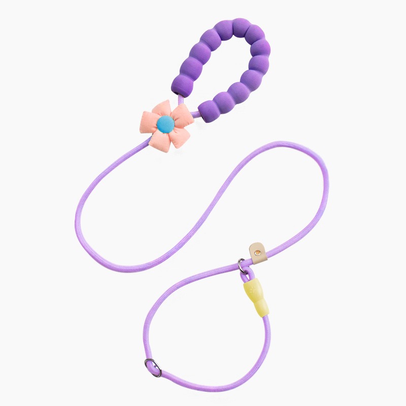 Flower Print Anti-Chew Nylon Dog Leash with Soft Handle